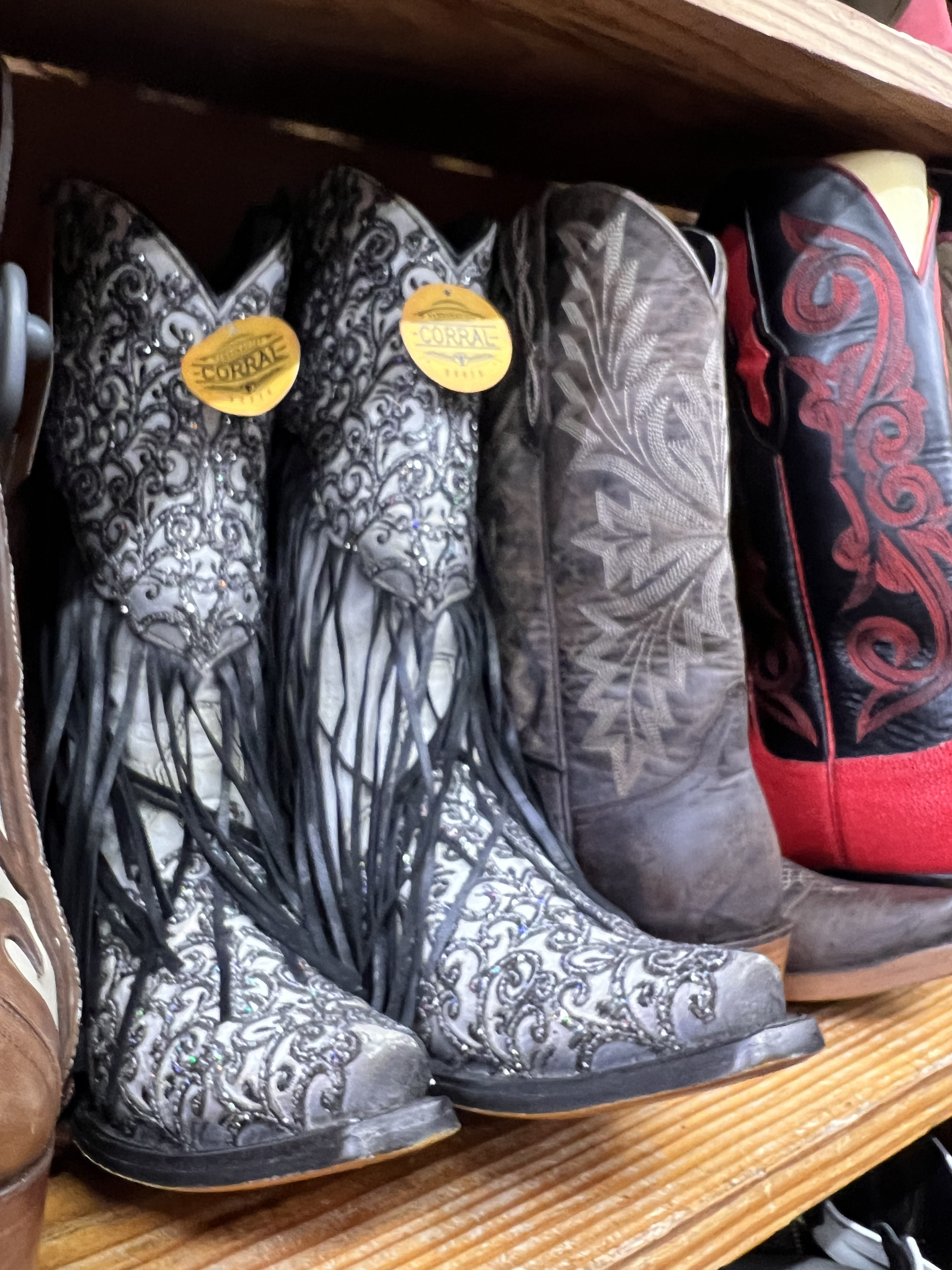 ./2023/02 - Texas/IMG_6896(1).jpg
